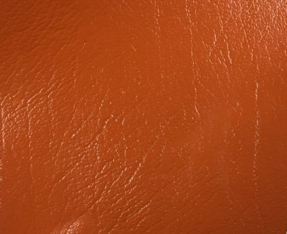 Textured Orange-1088